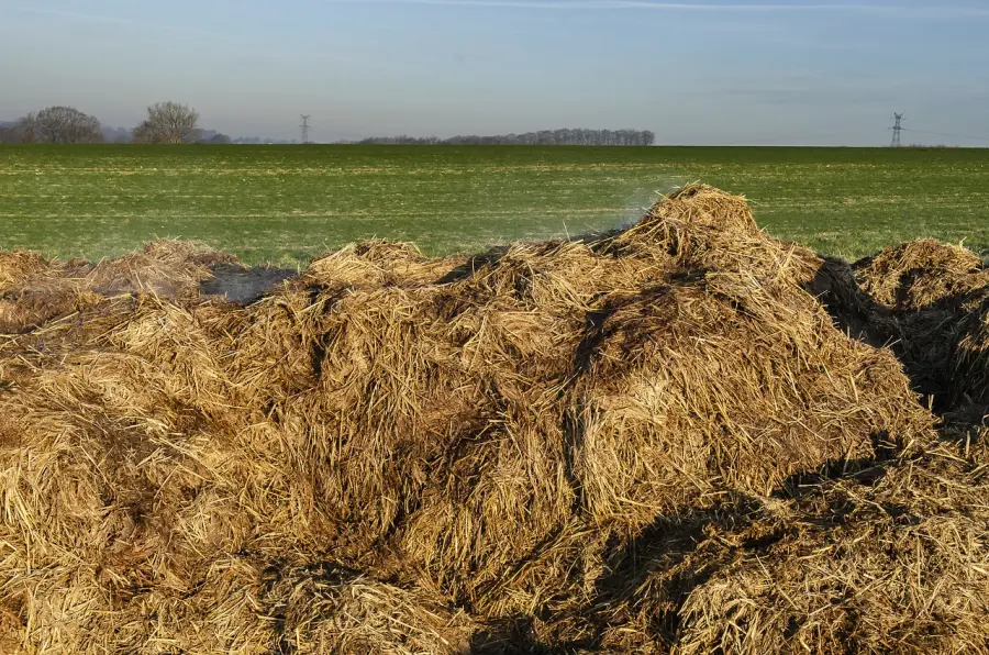 I concimi organi e minerali: le principali differenze