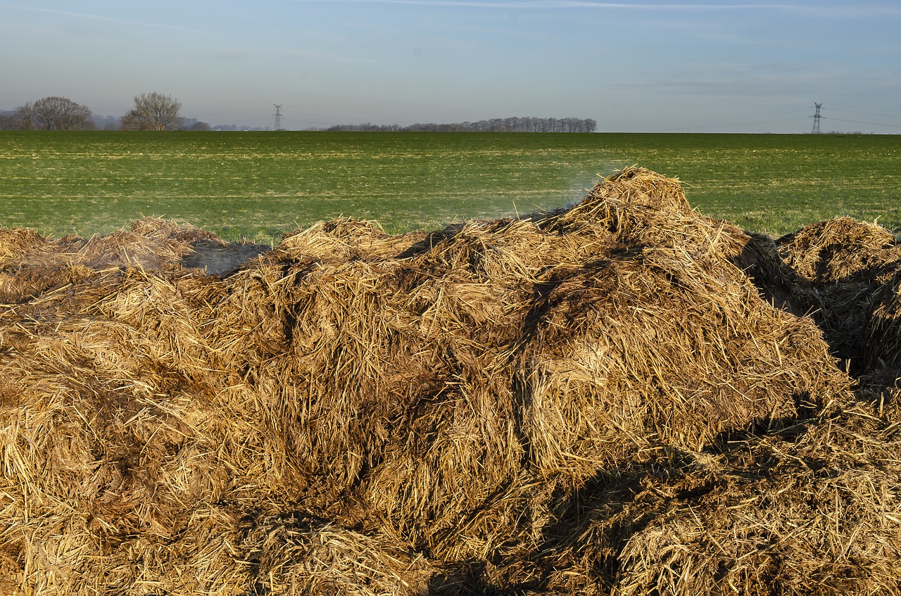 I concimi organi e minerali: le principali differenze